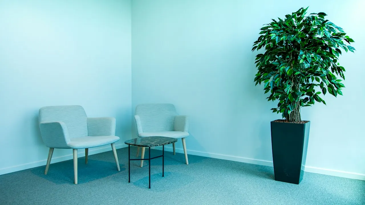 Sala de espera de clínica com poltronas claras e uma planta, ambiente organizado e acolhedor